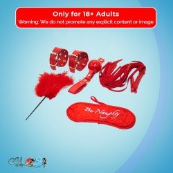BDSM SEX KIT Bracelet+Whip+Goggles+Feather+Mouth Ball Gag BDSM-001