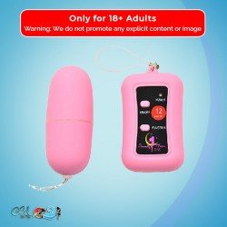 Remote Control Vibrating Egg BV-003