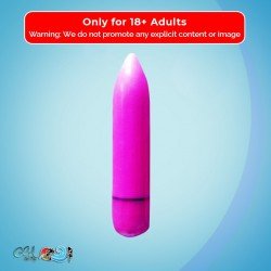 Female Purse Vibrator RSV-004