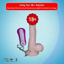 Realistic Vibrator LIBIDO BOOSTER WITH SUCTION CUP RSV-092